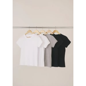 Kit Com 5 Camisetas Femininas Slim Básicas Hering