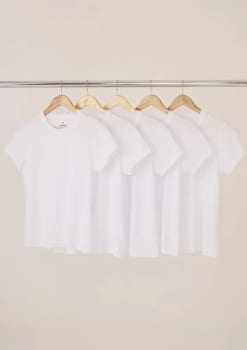 Kit Com 5 Camisetas Femininas Slim Básicas Hering