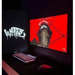 Monitor Gamer AOC AGON G4S 25 310Hz 0.3ms IPS 25G4S/P Frete Grátis